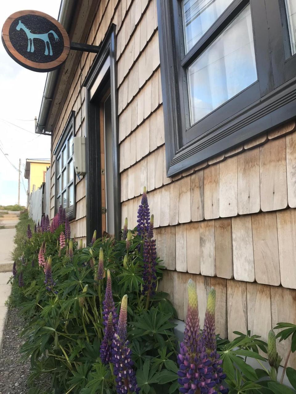 El Establo Hotel Puerto Natales Eksteriør billede